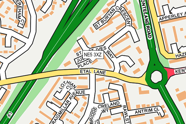 NE5 3XZ map - OS OpenMap – Local (Ordnance Survey) NE5 3XZ map - OS OpenMap – Local (Ordnance Survey)