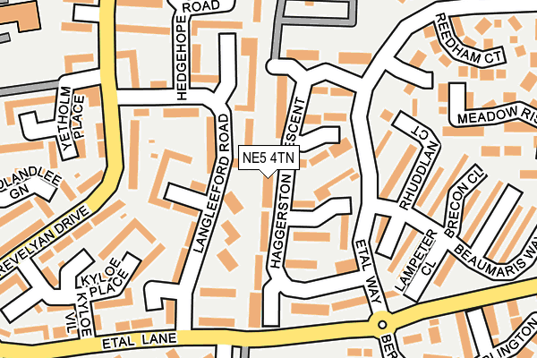NE5 4TN map - OS OpenMap – Local (Ordnance Survey) NE5 4TN map - OS OpenMap – Local (Ordnance Survey)