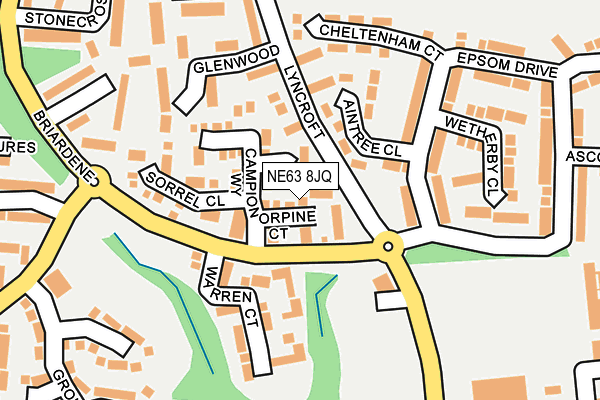 NE63 8JQ map - OS OpenMap – Local (Ordnance Survey) NE63 8JQ map - OS OpenMap – Local (Ordnance Survey)