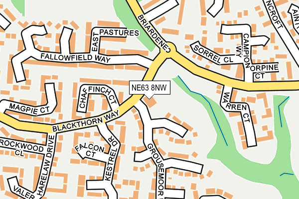 NE63 8NW map - OS OpenMap – Local (Ordnance Survey) NE63 8NW map - OS OpenMap – Local (Ordnance Survey)