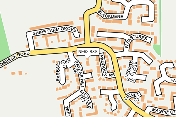 NE63 8XS map - OS OpenMap – Local (Ordnance Survey) NE63 8XS map - OS OpenMap – Local (Ordnance Survey)