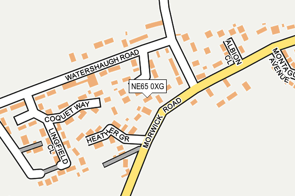 NE65 0XG map - OS OpenMap – Local (Ordnance Survey) NE65 0XG map - OS OpenMap – Local (Ordnance Survey)