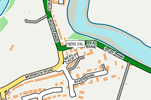 NE65 0XL map - OS OpenMap – Local (Ordnance Survey)