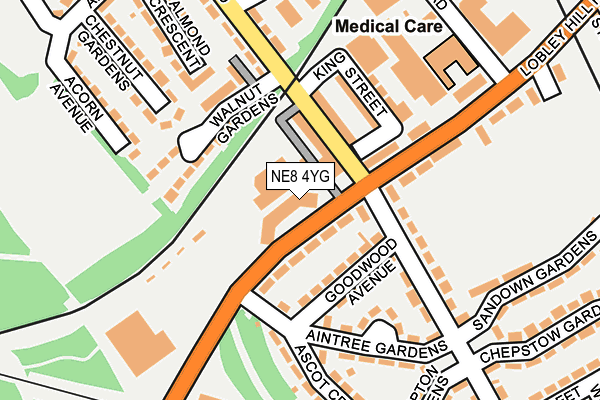 NE8 4YG map - OS OpenMap – Local (Ordnance Survey) NE8 4YG map - OS OpenMap – Local (Ordnance Survey)
