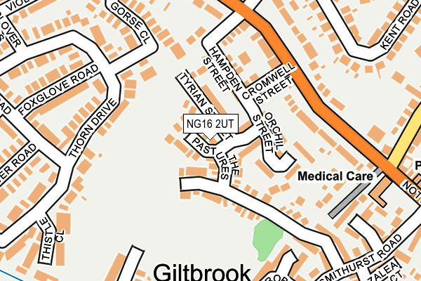 NG16 2UT map - OS OpenMap – Local (Ordnance Survey) NG16 2UT map - OS OpenMap – Local (Ordnance Survey)