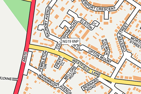 NG19 6NP map - OS OpenMap – Local (Ordnance Survey) NG19 6NP map - OS OpenMap – Local (Ordnance Survey)