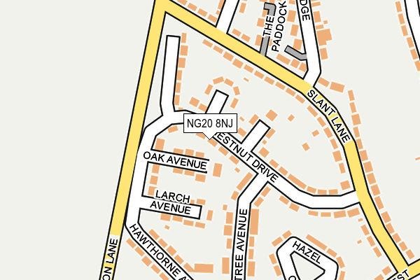 NG20 8NJ map - OS OpenMap – Local (Ordnance Survey) NG20 8NJ map - OS OpenMap – Local (Ordnance Survey)