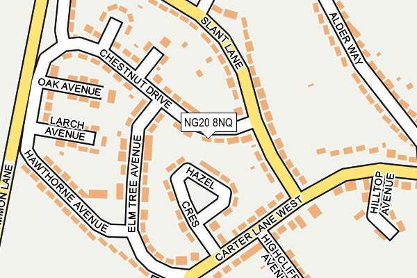 NG20 8NQ map - OS OpenMap – Local (Ordnance Survey) NG20 8NQ map - OS OpenMap – Local (Ordnance Survey)