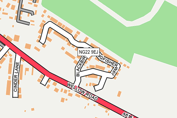 NG22 9EJ map - OS OpenMap – Local (Ordnance Survey) NG22 9EJ map - OS OpenMap – Local (Ordnance Survey)