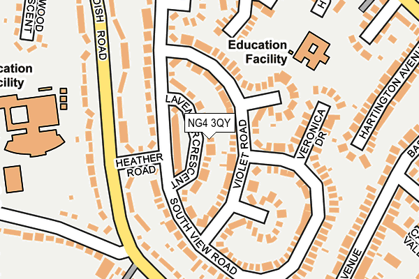 NG4 3QY map - OS OpenMap – Local (Ordnance Survey) NG4 3QY map - OS OpenMap – Local (Ordnance Survey)