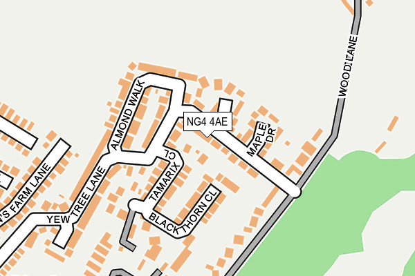 NG4 4AE map - OS OpenMap – Local (Ordnance Survey) NG4 4AE map - OS OpenMap – Local (Ordnance Survey)