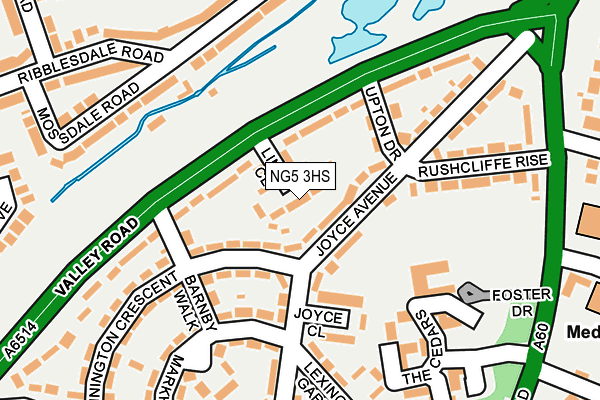 NG5 3HS map - OS OpenMap – Local (Ordnance Survey) NG5 3HS map - OS OpenMap – Local (Ordnance Survey)