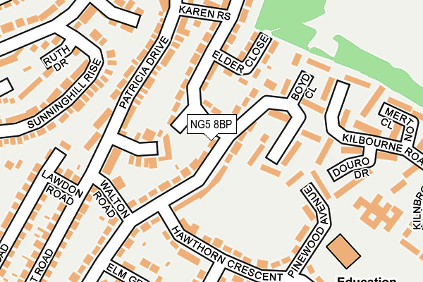 NG5 8BP map - OS OpenMap – Local (Ordnance Survey) NG5 8BP map - OS OpenMap – Local (Ordnance Survey)