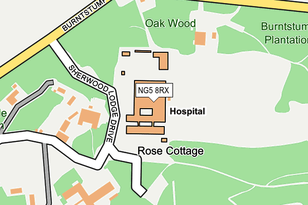 NG5 8RX map - OS OpenMap – Local (Ordnance Survey) NG5 8RX map - OS OpenMap – Local (Ordnance Survey)