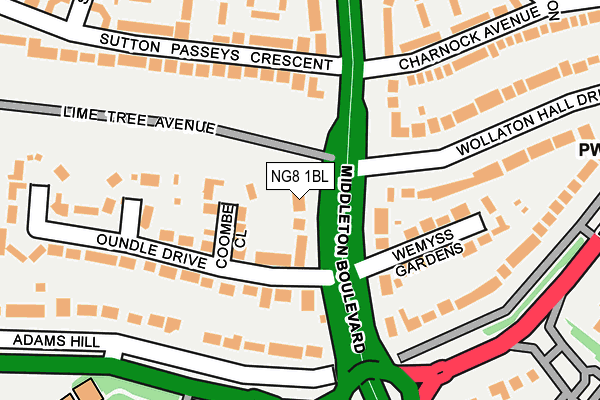 NG8 1BL map - OS OpenMap – Local (Ordnance Survey) NG8 1BL map - OS OpenMap – Local (Ordnance Survey)