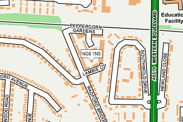 NG8 1NS map - OS OpenMap – Local (Ordnance Survey) NG8 1NS map - OS OpenMap – Local (Ordnance Survey)
