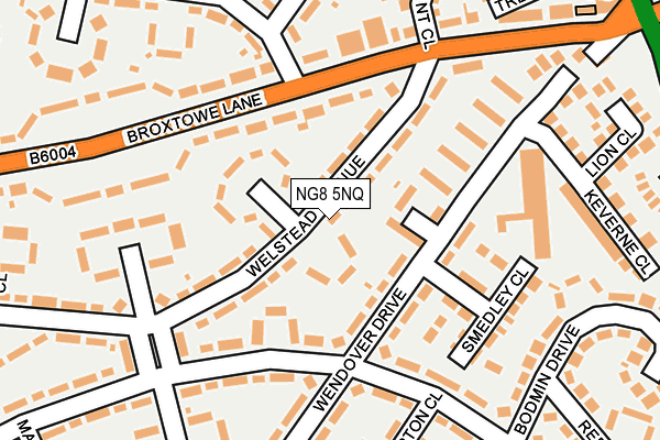 NG8 5NQ map - OS OpenMap – Local (Ordnance Survey) NG8 5NQ map - OS OpenMap – Local (Ordnance Survey)