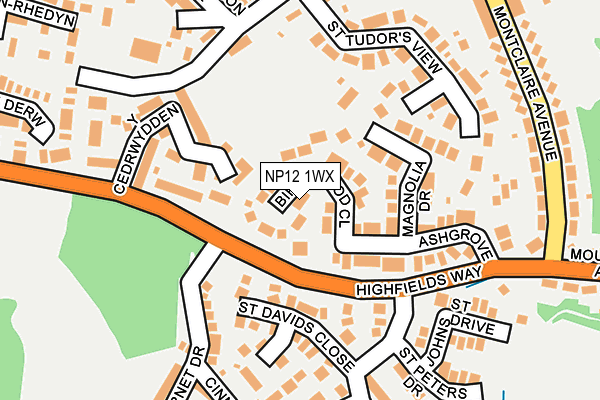 NP12 1WX map - OS OpenMap – Local (Ordnance Survey) NP12 1WX map - OS OpenMap – Local (Ordnance Survey)