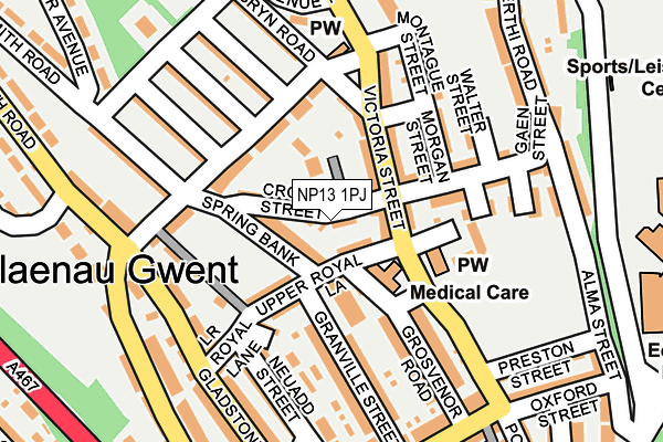 NP13 1PJ map - OS OpenMap – Local (Ordnance Survey) NP13 1PJ map - OS OpenMap – Local (Ordnance Survey)