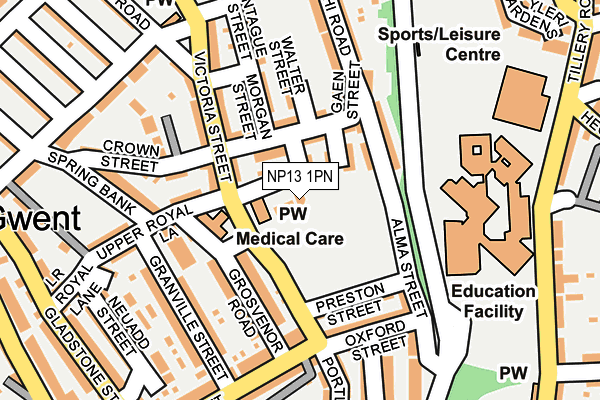 NP13 1PN map - OS OpenMap – Local (Ordnance Survey) NP13 1PN map - OS OpenMap – Local (Ordnance Survey)
