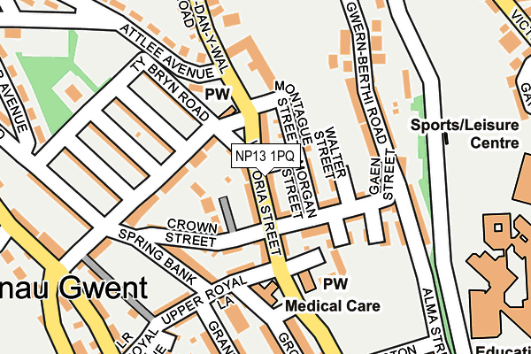 NP13 1PQ map - OS OpenMap – Local (Ordnance Survey) NP13 1PQ map - OS OpenMap – Local (Ordnance Survey)
