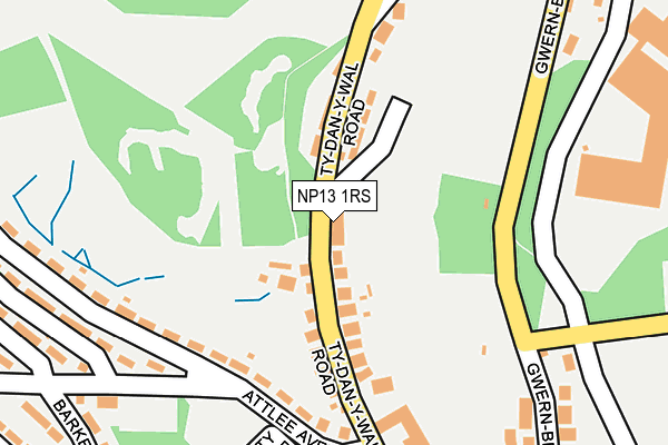NP13 1RS map - OS OpenMap – Local (Ordnance Survey)