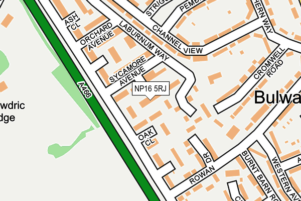 NP16 5RJ map - OS OpenMap – Local (Ordnance Survey) NP16 5RJ map - OS OpenMap – Local (Ordnance Survey)
