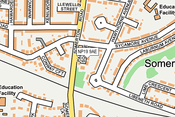 NP19 9AE map - OS OpenMap – Local (Ordnance Survey) NP19 9AE map - OS OpenMap – Local (Ordnance Survey)