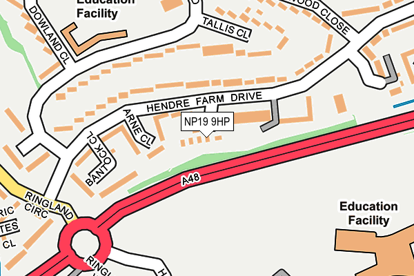 NP19 9HP map - OS OpenMap – Local (Ordnance Survey)