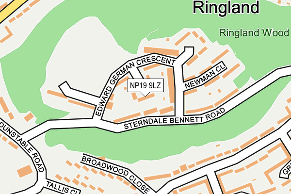 NP19 9LZ map - OS OpenMap – Local (Ordnance Survey) NP19 9LZ map - OS OpenMap – Local (Ordnance Survey)