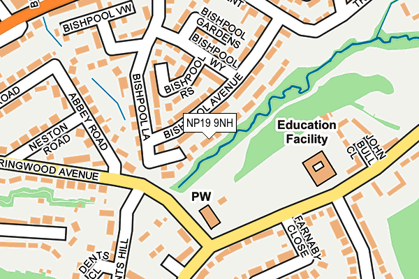 NP19 9NH map - OS OpenMap – Local (Ordnance Survey)
