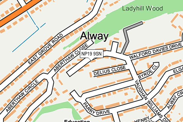 NP19 9SN map - OS OpenMap – Local (Ordnance Survey) NP19 9SN map - OS OpenMap – Local (Ordnance Survey)