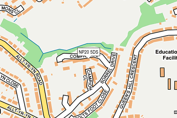 NP20 5DS map - OS OpenMap – Local (Ordnance Survey) NP20 5DS map - OS OpenMap – Local (Ordnance Survey)