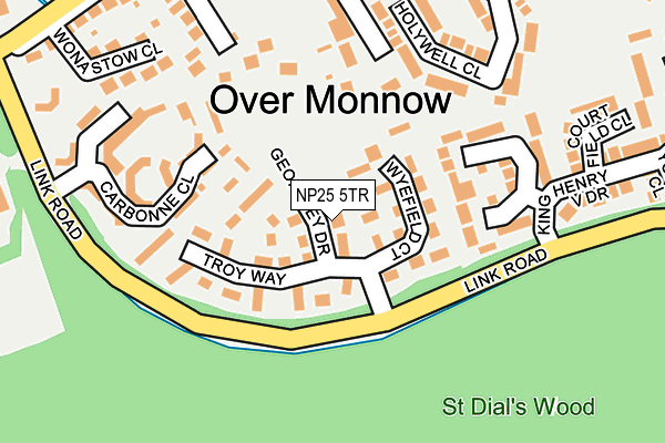 NP25 5TR map - OS OpenMap – Local (Ordnance Survey) NP25 5TR map - OS OpenMap – Local (Ordnance Survey)