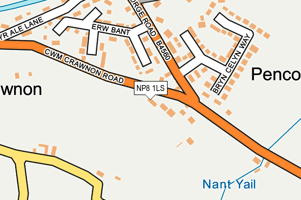NP8 1LS map - OS OpenMap – Local (Ordnance Survey) NP8 1LS map - OS OpenMap – Local (Ordnance Survey)