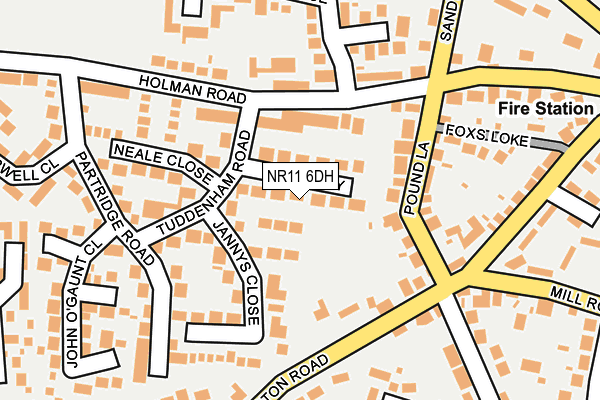 NR11 6DH map - OS OpenMap – Local (Ordnance Survey) NR11 6DH map - OS OpenMap – Local (Ordnance Survey)