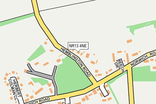 NR13 4NE map - OS OpenMap – Local (Ordnance Survey) NR13 4NE map - OS OpenMap – Local (Ordnance Survey)