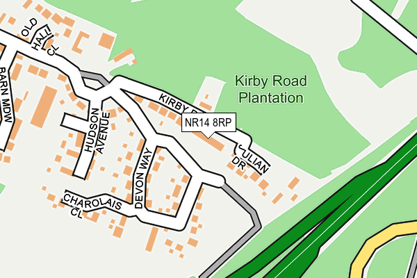 NR14 8RP map - OS OpenMap – Local (Ordnance Survey)