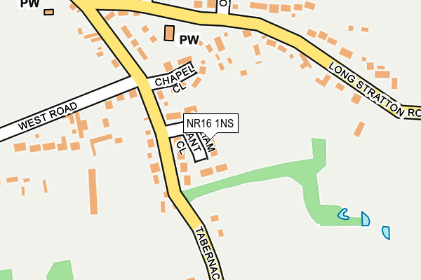 NR16 1NS map - OS OpenMap – Local (Ordnance Survey) NR16 1NS map - OS OpenMap – Local (Ordnance Survey)