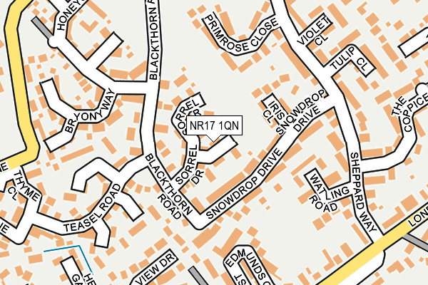 NR17 1QN map - OS OpenMap – Local (Ordnance Survey) NR17 1QN map - OS OpenMap – Local (Ordnance Survey)
