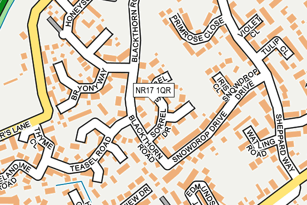 NR17 1QR map - OS OpenMap – Local (Ordnance Survey) NR17 1QR map - OS OpenMap – Local (Ordnance Survey)