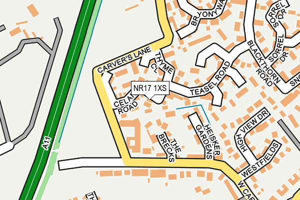 NR17 1XS map - OS OpenMap – Local (Ordnance Survey) NR17 1XS map - OS OpenMap – Local (Ordnance Survey)