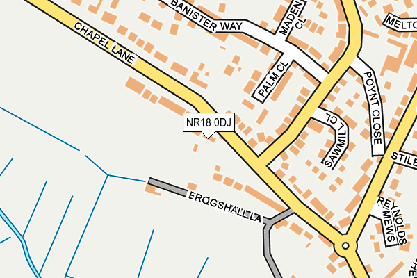 NR18 0DJ map - OS OpenMap – Local (Ordnance Survey) NR18 0DJ map - OS OpenMap – Local (Ordnance Survey)