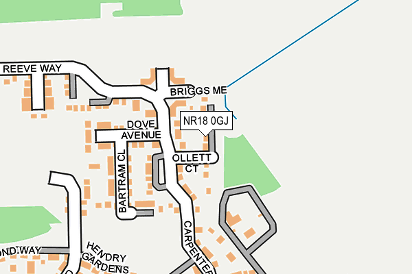 NR18 0GJ map - OS OpenMap – Local (Ordnance Survey) NR18 0GJ map - OS OpenMap – Local (Ordnance Survey)