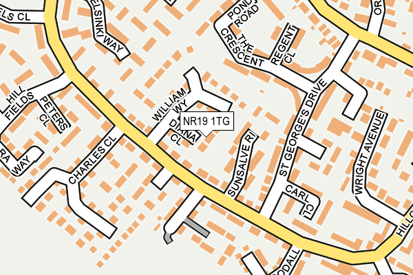 NR19 1TG map - OS OpenMap – Local (Ordnance Survey) NR19 1TG map - OS OpenMap – Local (Ordnance Survey)