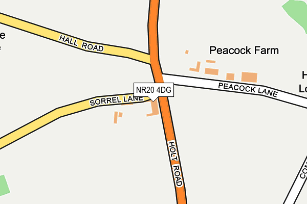 NR20 4DG map - OS OpenMap – Local (Ordnance Survey) NR20 4DG map - OS OpenMap – Local (Ordnance Survey)