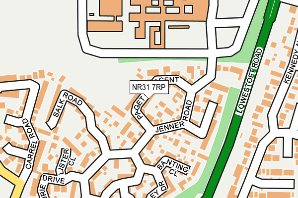 NR31 7RP map - OS OpenMap – Local (Ordnance Survey) NR31 7RP map - OS OpenMap – Local (Ordnance Survey)