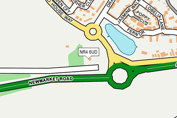 NR4 6UD map - OS OpenMap – Local (Ordnance Survey) NR4 6UD map - OS OpenMap – Local (Ordnance Survey)