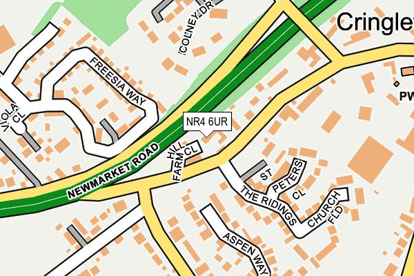NR4 6UR map - OS OpenMap – Local (Ordnance Survey) NR4 6UR map - OS OpenMap – Local (Ordnance Survey)