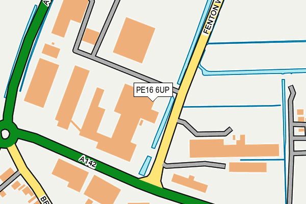 PE16 6UP map - OS OpenMap – Local (Ordnance Survey)